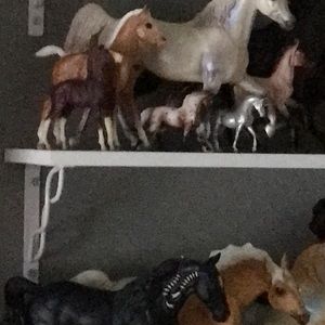 Meet your Posher, Cooper